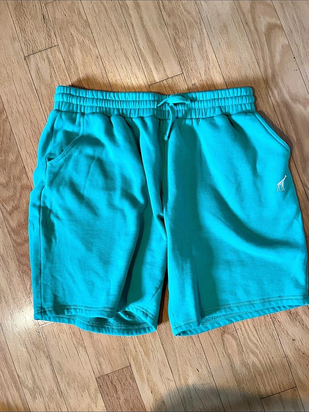 Lifted Research Group Men's Hybrid Shorts mint green Size Medium